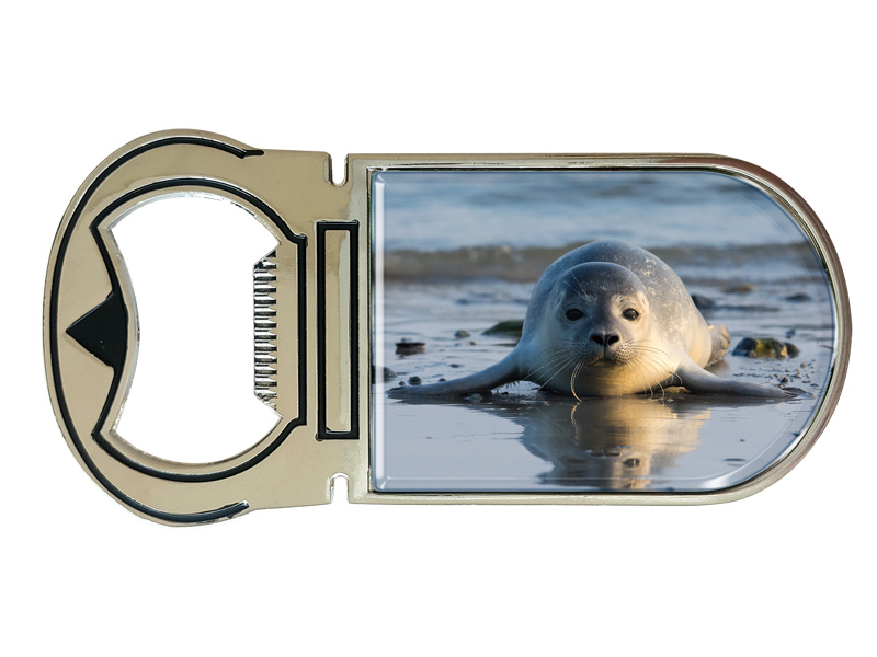 16950 Metall Magnet Kapselheber Robbe