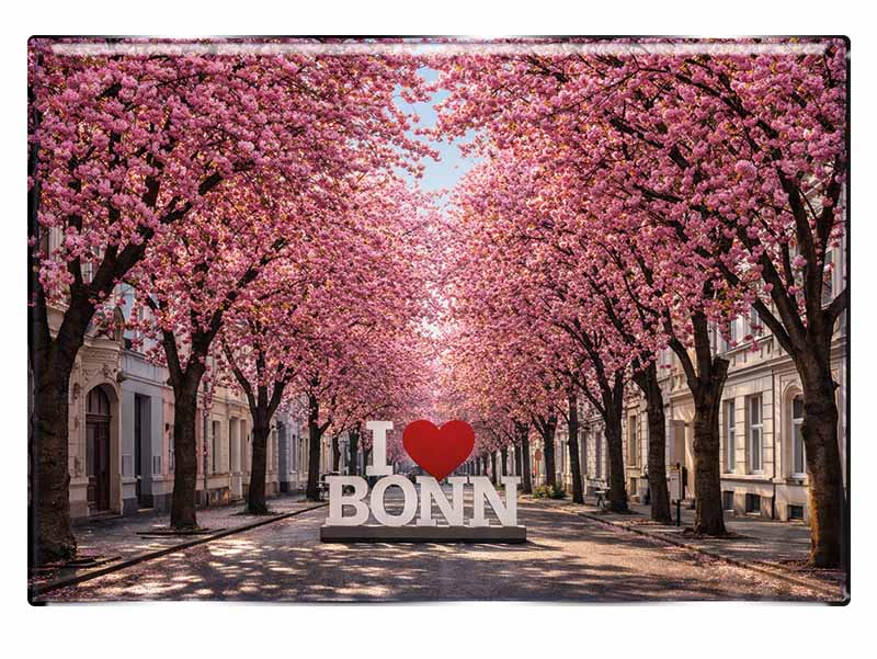 Souvenir Foto Magnet Bonn 8x5,5cm