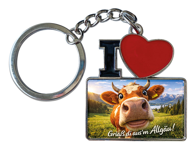 Souvenir Schlüsselanhänger Allgäu aus Metall 11x4cm