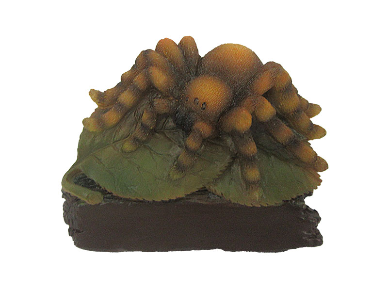 18064-0 Poly Magnet Spinne