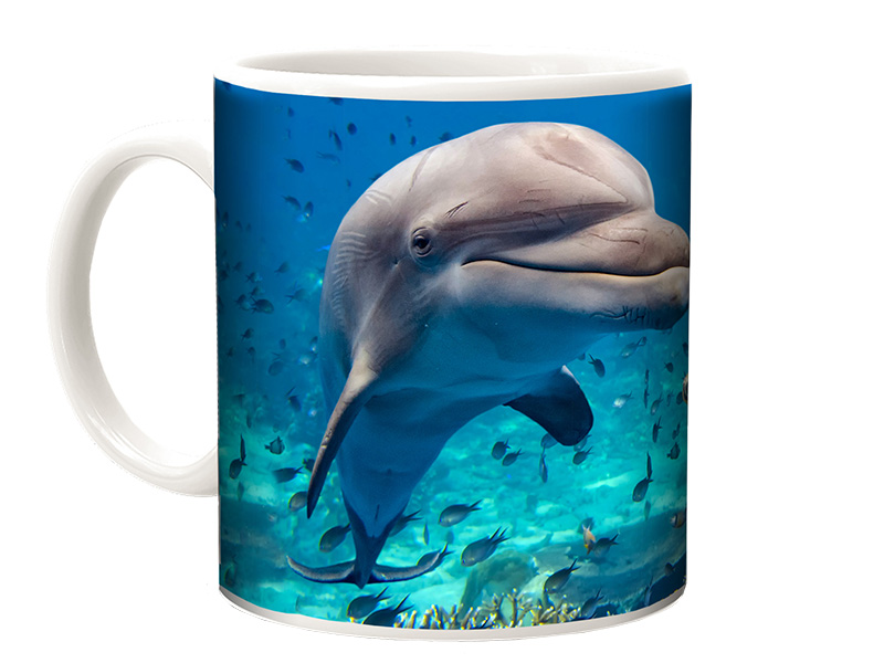 Foto Keramik Tasse Delfin und Schildkröte