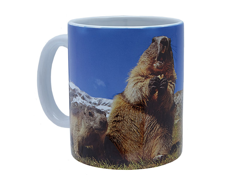 16818 Foto Keramik Tasse Murmel