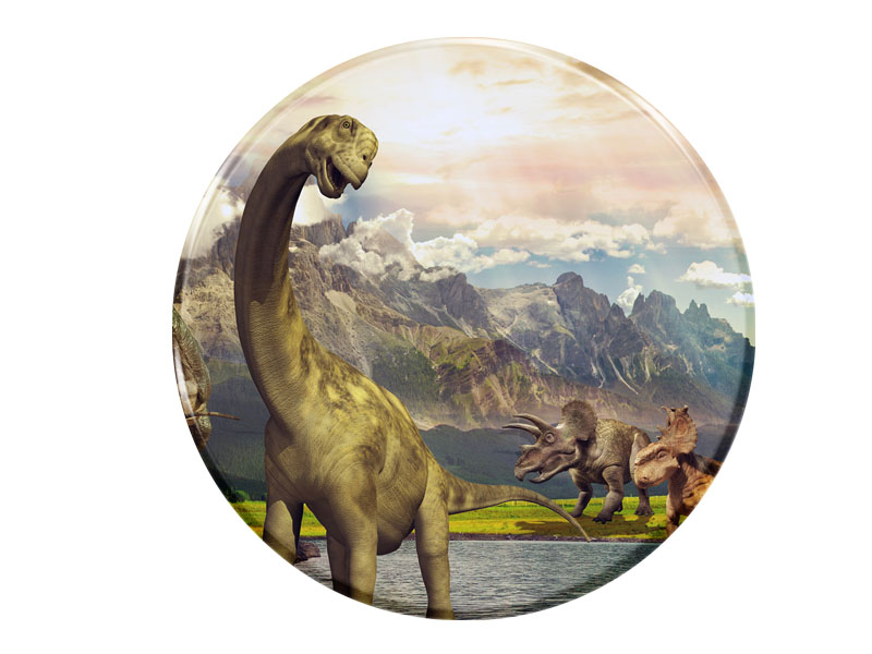 16882 Foto Magnet rund Dinosaurier