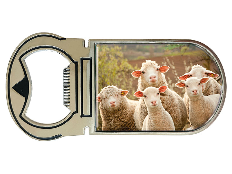 19073 Metall Magnet Kapselheber Schafe