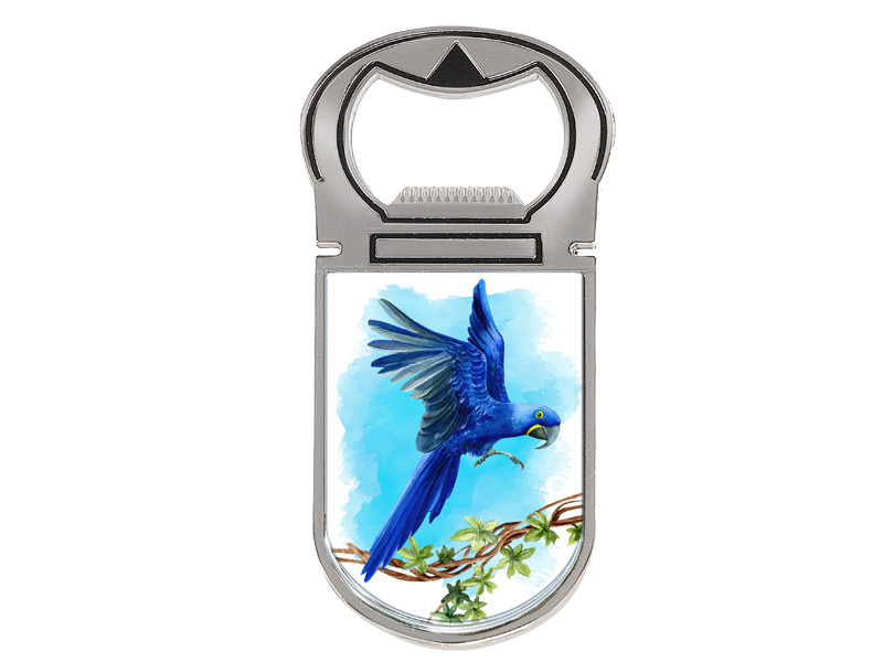 16926 Metall Magnet Kapselöffner Ara blau