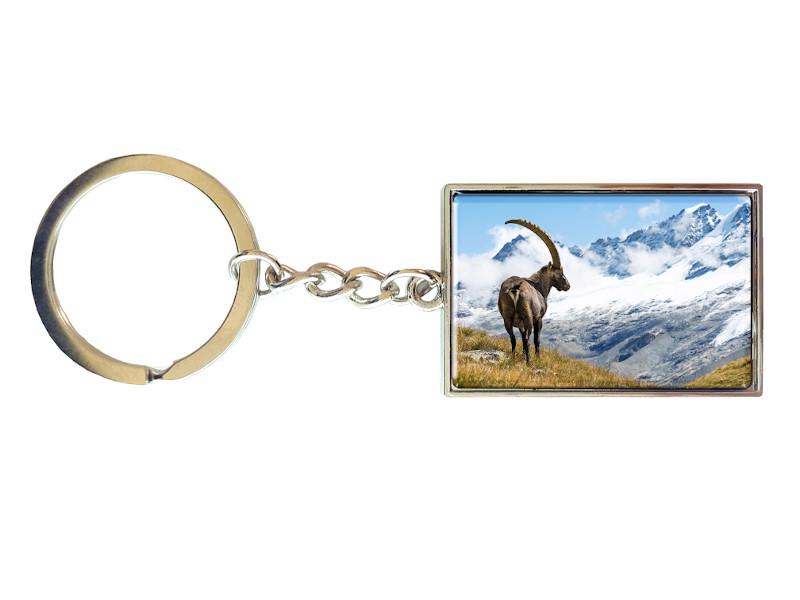 16692 Metall Schlüssselanhäger Steinbock