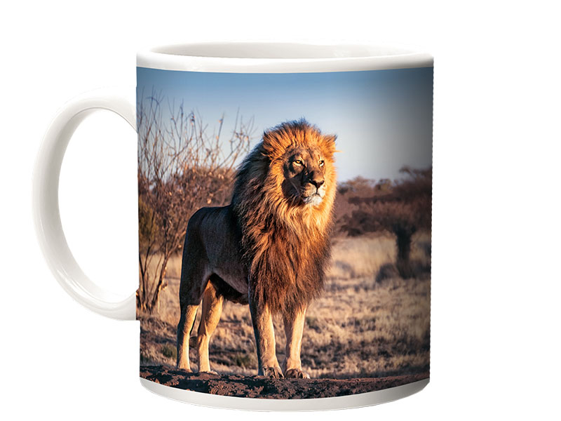 16865-0 Foto Keramik Tasse Löwe