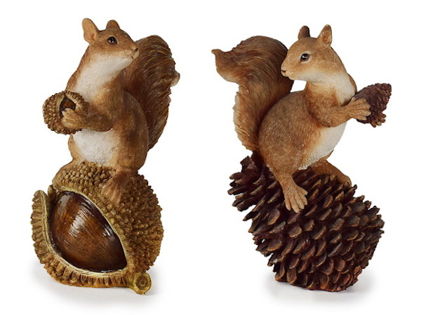 17846 Poly Eichhörnchen