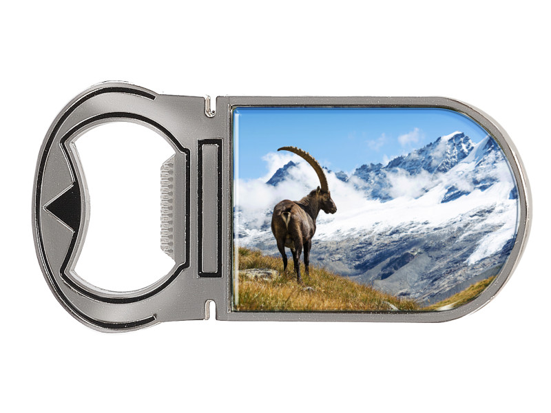 16712 Metall Magnet Kapselheber Steinbock