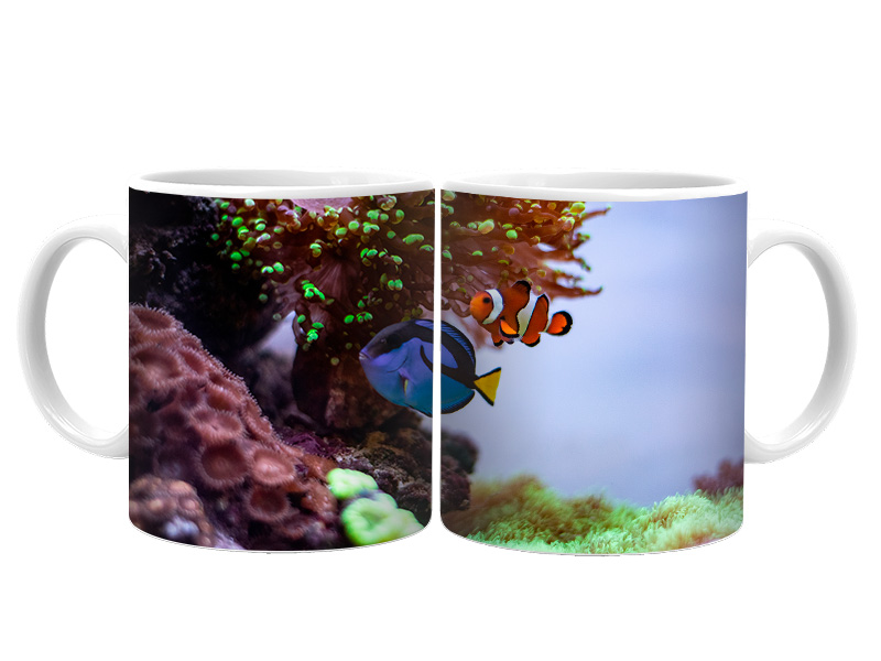 19050 Keramik  Foto Tasse Aquarium