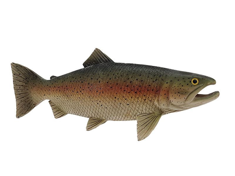 Forelle aus Poly 20x3x8cm   