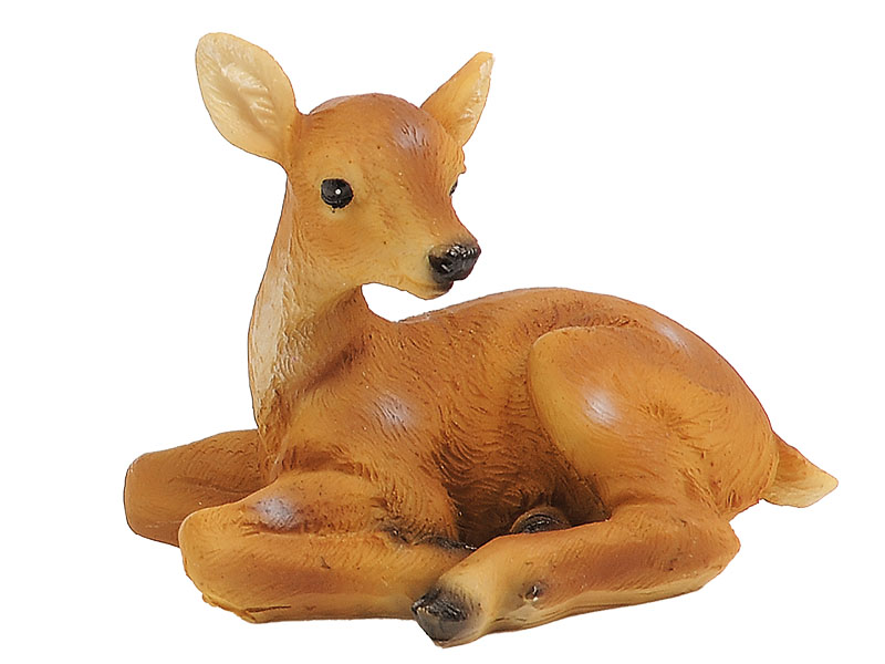 17454 Poly Rehkitz liegend