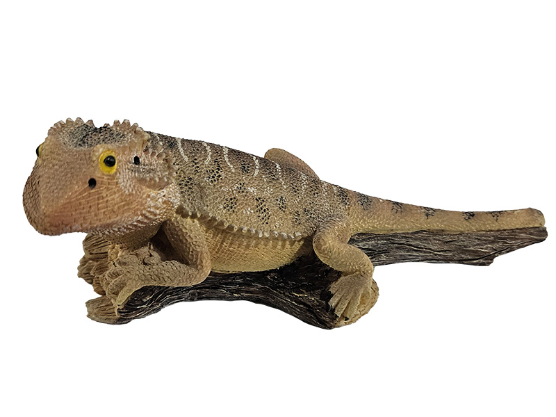 Bartagame aus Poly 16x7x6,5cm   