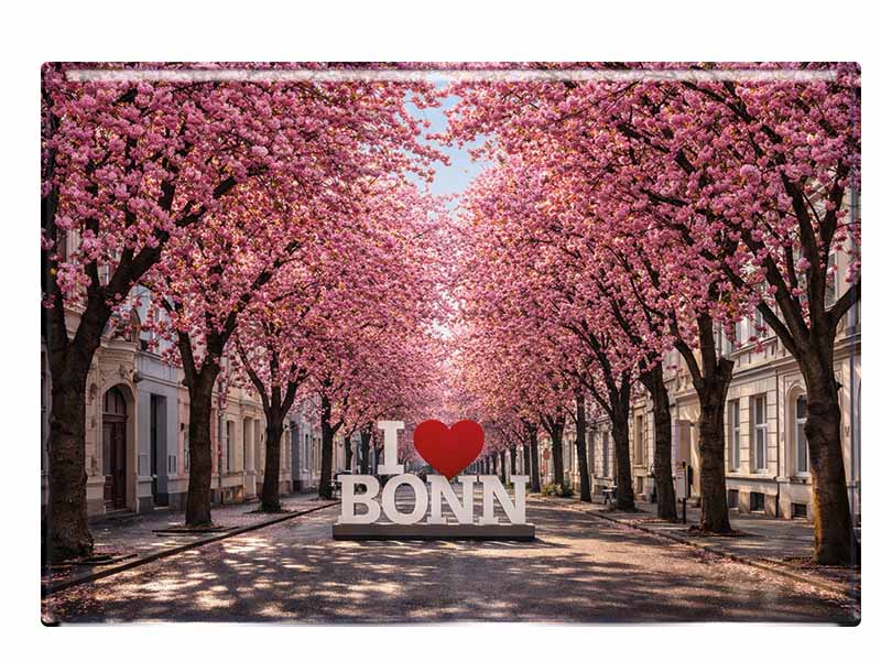 Souvenir Foto Magnet Bonn 9,5x6,5cm
