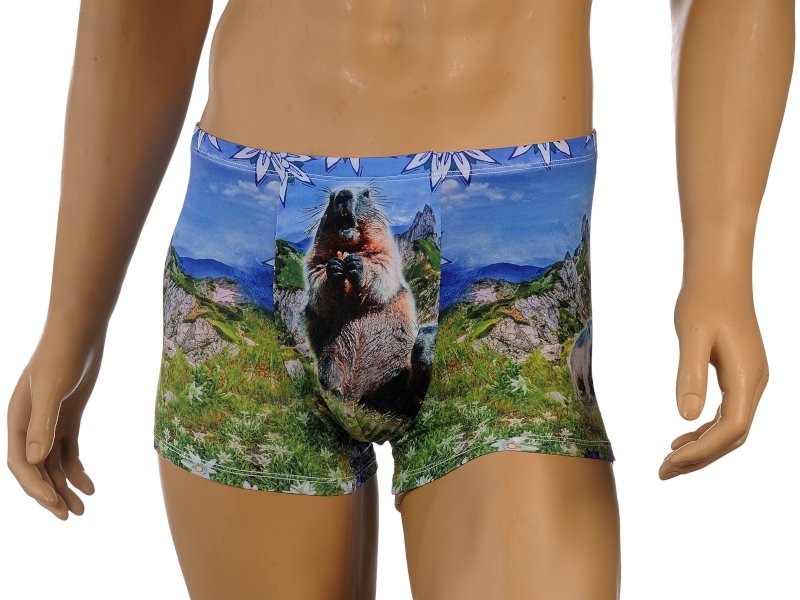 60272-0 Boxershort Alpindesign Gr. M