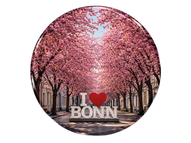 Souvenir Foto Magnet Bonn Ø7cm