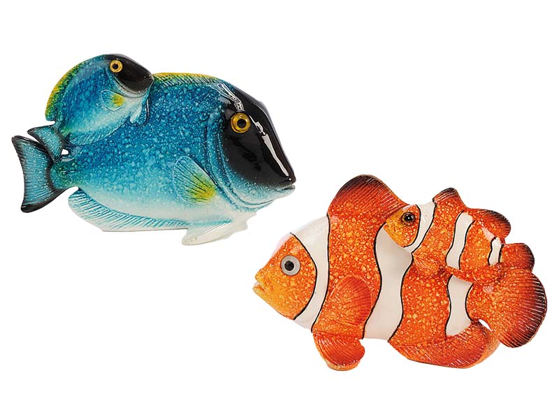 15892 Poly Clown- und Doktorfisch