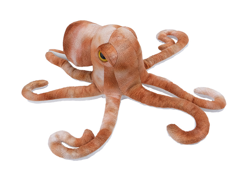 30891 Plüsch Oktopus