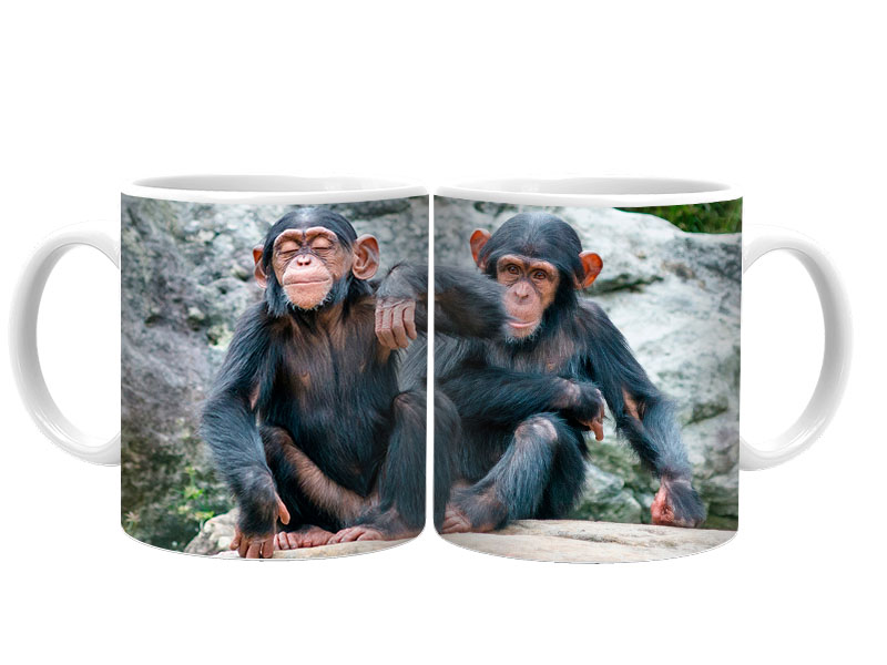 19070 Keramik  Foto Tasse Schimpansen