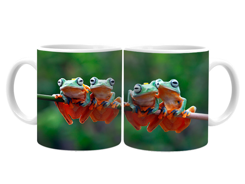 19085 Keramik  Foto Tasse Frösche