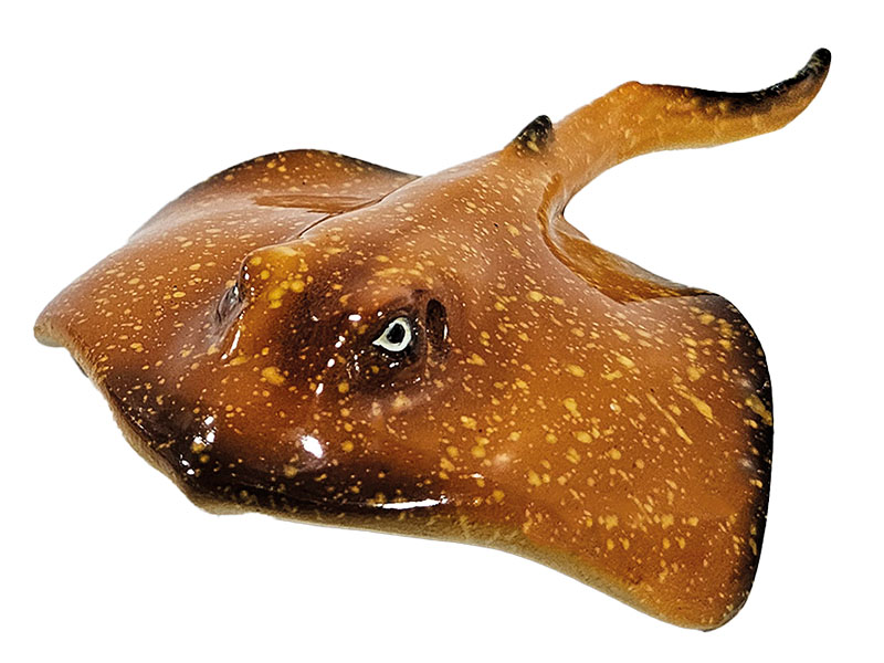 Rochen aus Poly 11x8x2cm   