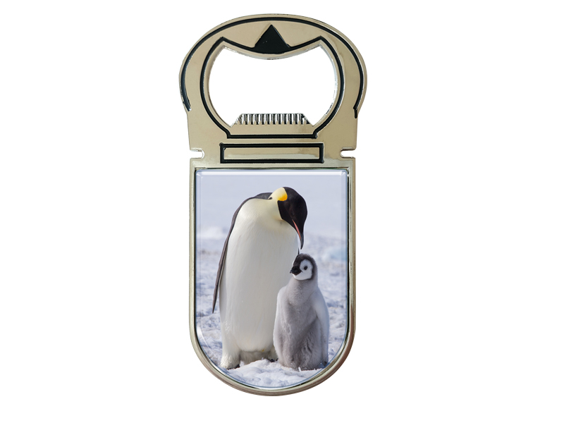 Metall Magnet Kapselheber Pinguin