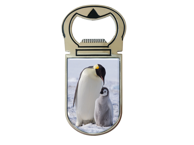16944 Metall Magnet Kapselheber Pinguin