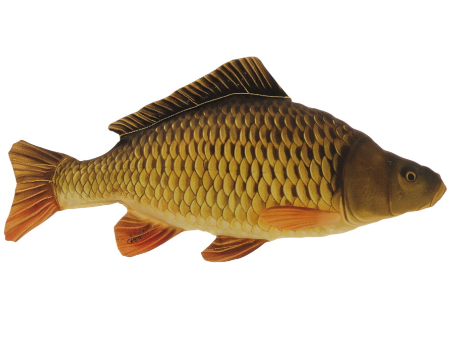 30404 Stoff Schuppenkarpfen