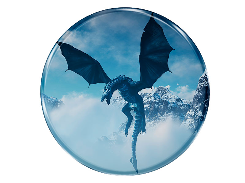 19116 Foto Magnet rund Drache