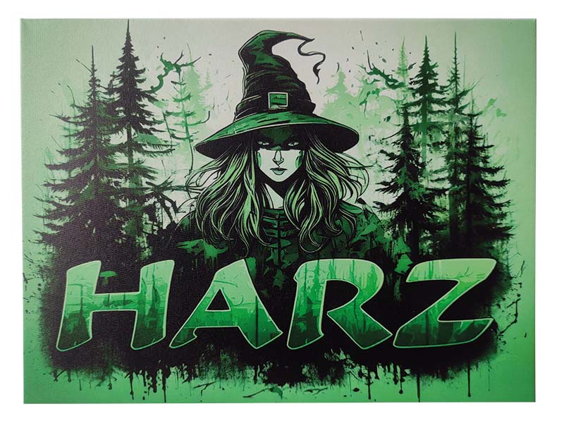 Leinwand Harz-Hexe 40x30cm