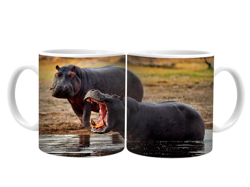 19110 Keramik  Foto Tasse Nilpferde