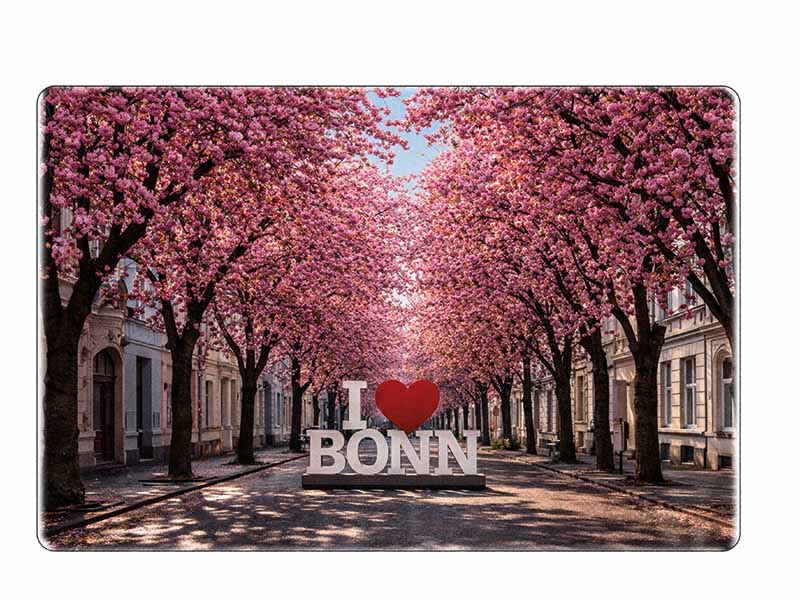 Souvenir Foto Magnet Bonn aus Steingut 6x4,5cm