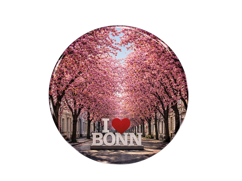 Souvenir Foto Magnet Bonn Ø3,5cm