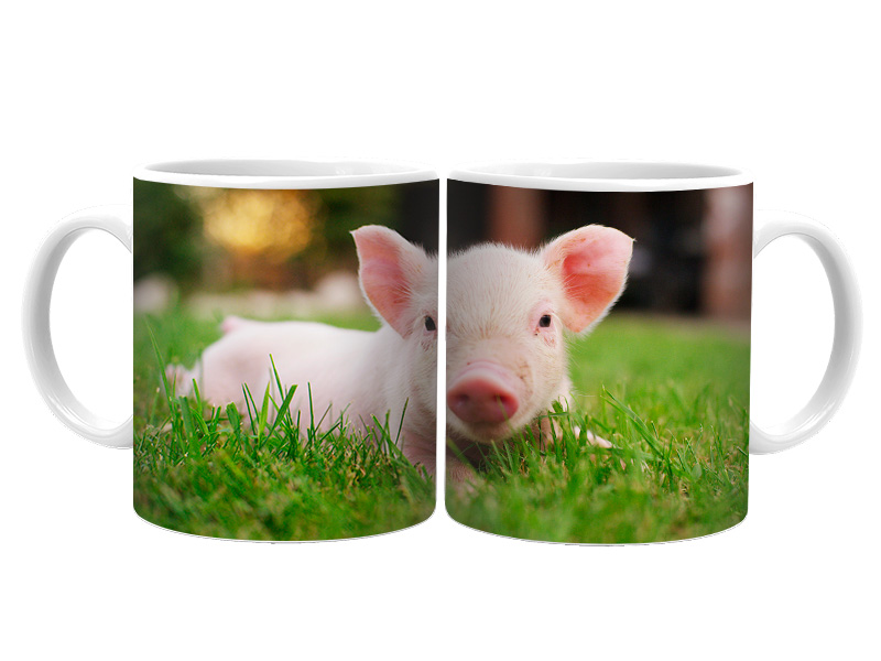 19035 Keramik  Foto Tasse Ferkel