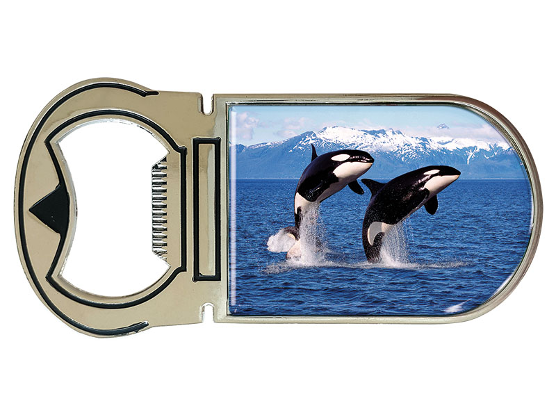 Metall Magnet Kapselheber Orcas