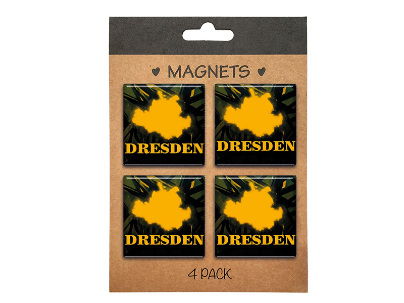 Souvenir Foto Magnet-Set, 4 Stück auf Karte Dresden 4x4cm