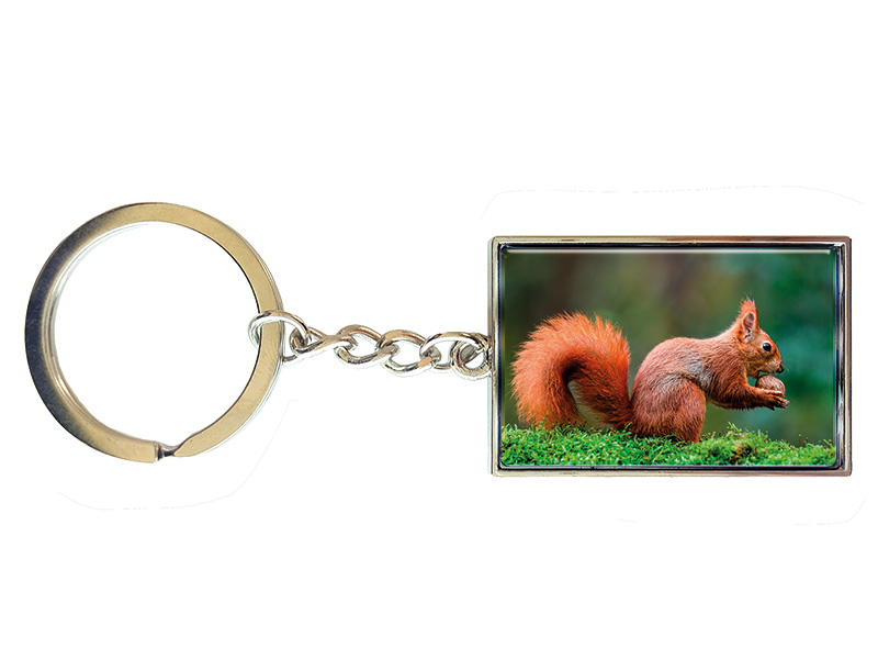 19099 Metall Schlüsselanhänger Eichhörnchen