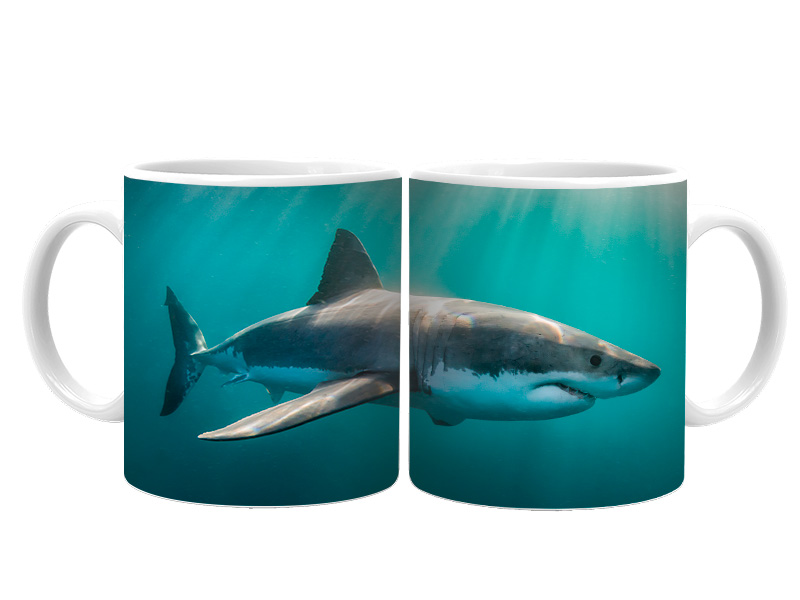 19115 Keramik  Foto Tasse Hai