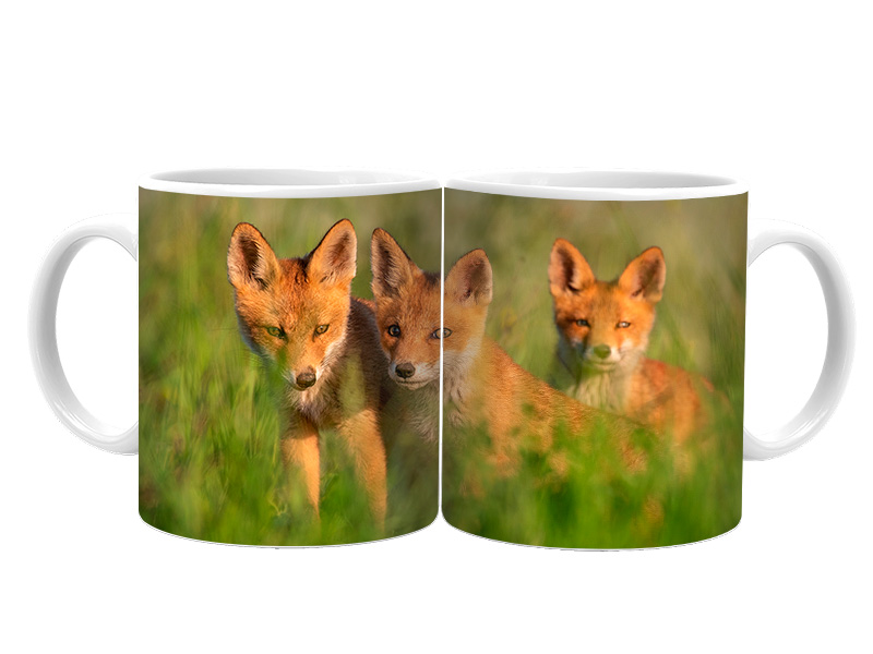 19105 Keramik  Foto Tasse FÜchse