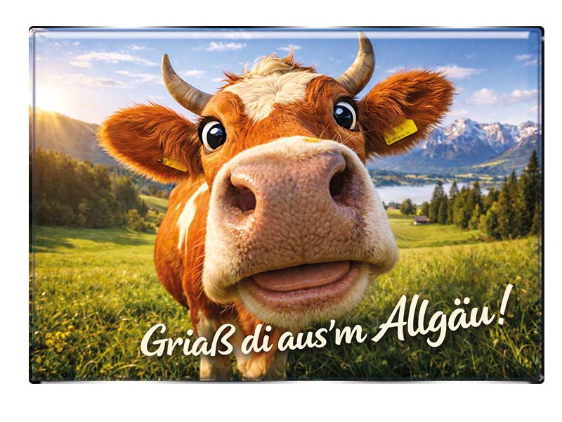 Souvenir Foto Magnet Allgäu 8x5,5cm
