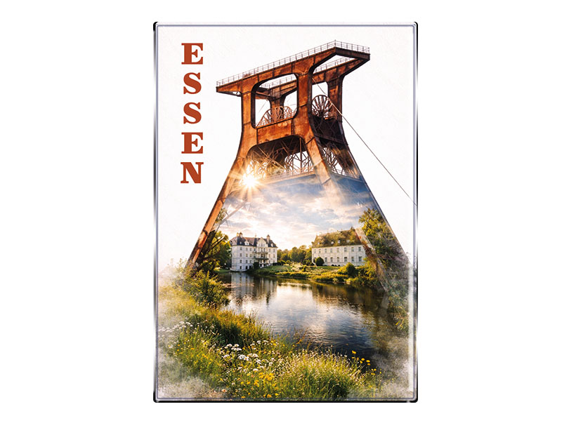 Souvenir Foto Magnet Adler 8x5,5cm