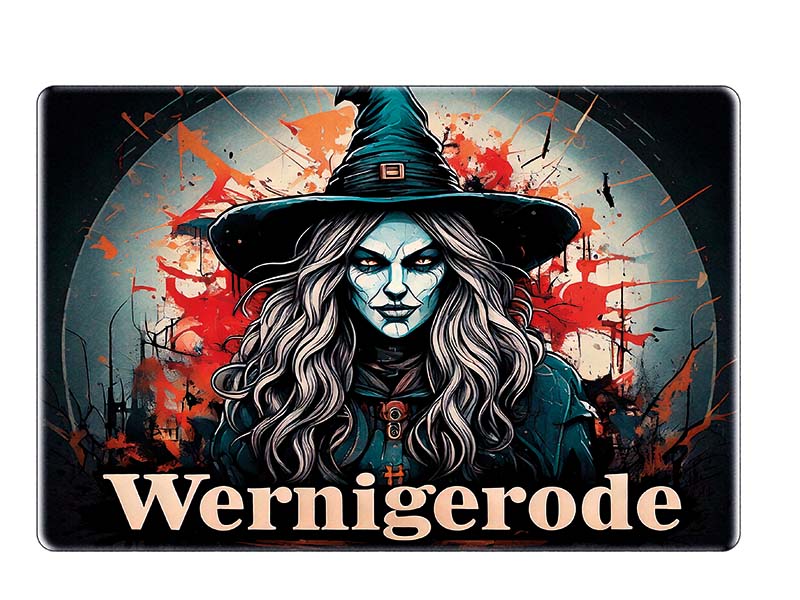 Souvenir Foto Magnet Steingut Wernigerode 6x4,5cm Souvenir Foto Magnet Steingut Wernigerode 6x4,5cm