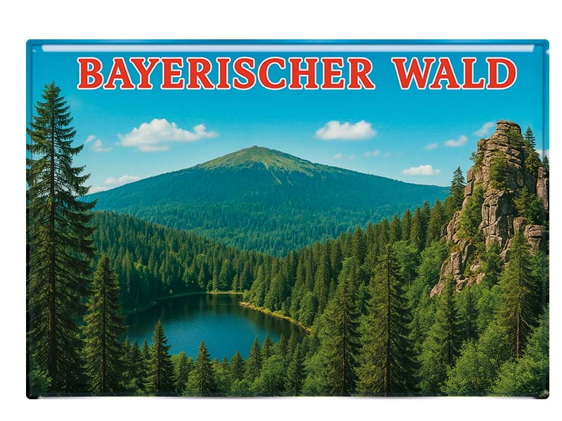 Souvenir Foto Magnet BayerischerWald 9,5x6,5cm