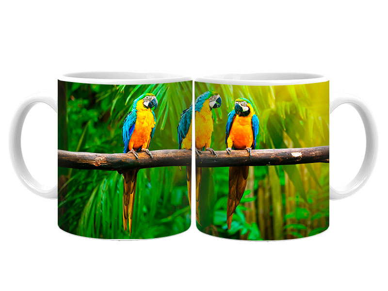 19090 Keramik  Foto Tasse Aras