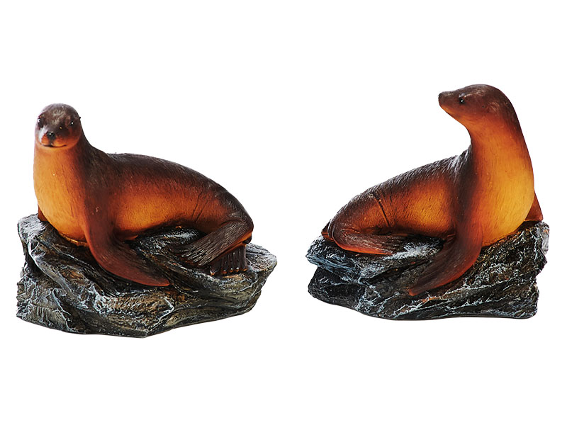 15619 Poly Seehund auf Fels