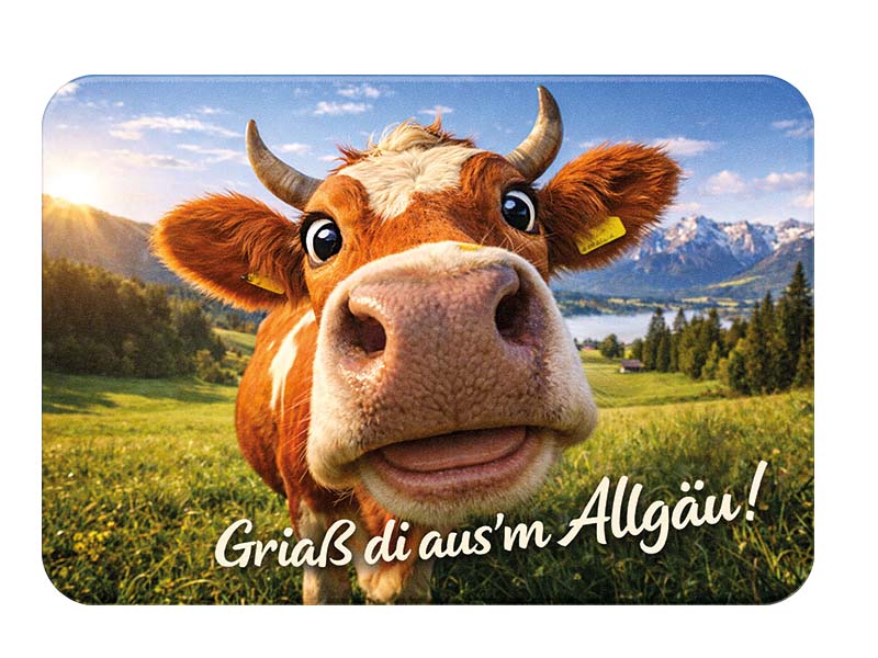 Souvenir Foto Magnet Allgäu aus Kunststoff 8x5cm