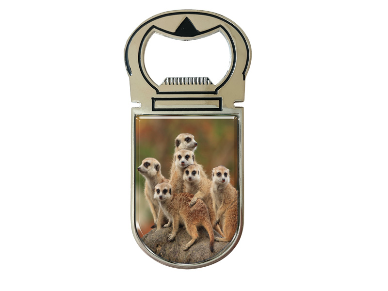 16948 Metall Magnet Kapselheber Erdmännchen