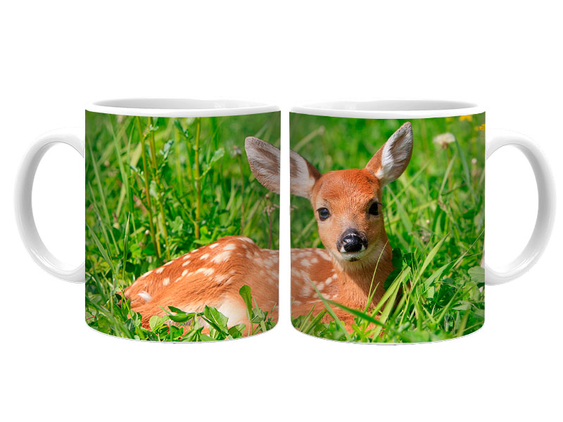 19025 Keramik Foto Tasse Rehkitz