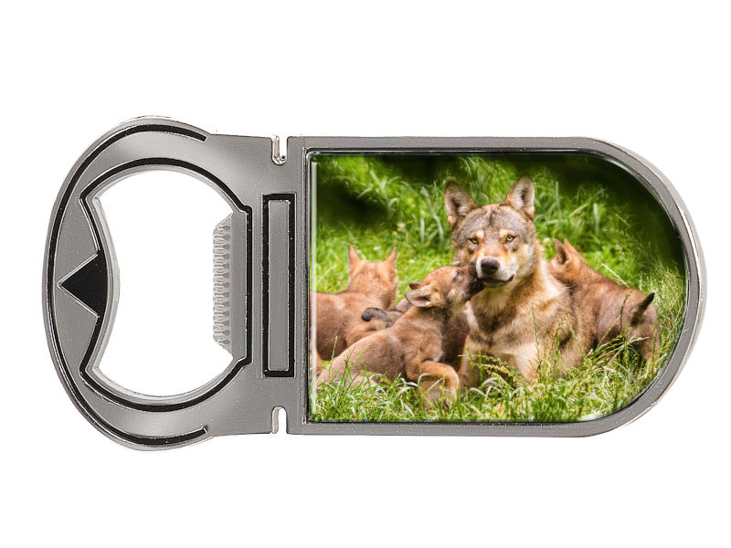 16715 Metall Magnet Kapselheber Wolfsrudel