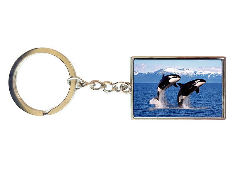 Metall Schlüsselanhänger Orcas